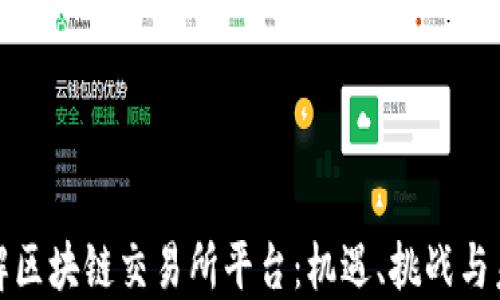 
全面了解区块链交易所平台：机遇、挑战与未来发展
