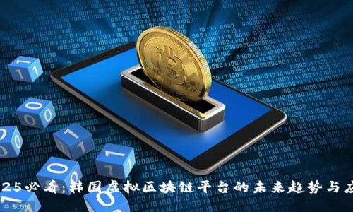 2025必看：韩国虚拟区块链平台的未来趋势与应用