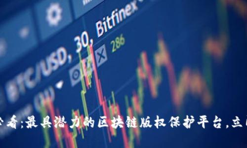 2025必看：最具潜力的区块链版权保护平台，立即了解！