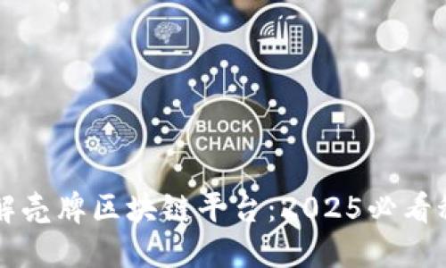 立即了解壳牌区块链平台：2025必看科技革新