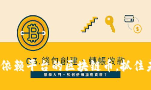 2025必看：不依赖平台的区块链币，抓住未来投资机会！