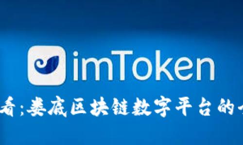 2025必看：娄底区块链数字平台的全景探秘