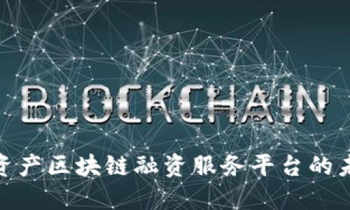 2025必看：轻资产区块链融资服务平台的未来展望与实践