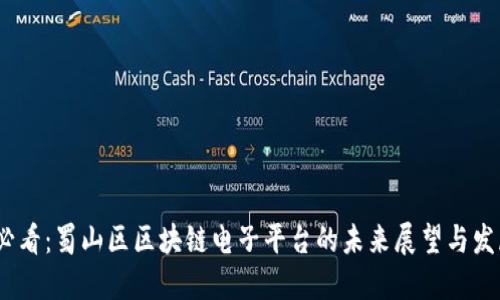 2025必看：蜀山区区块链电子平台的未来展望与发展趋势