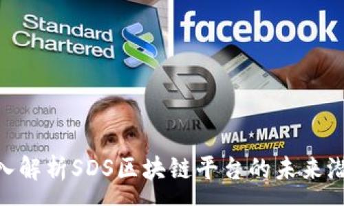 :
2025必看：深入解析SDS区块链平台的未来潜力与应用前景