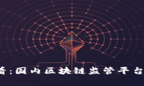 2025必看：国内区块链监管平台全景解析