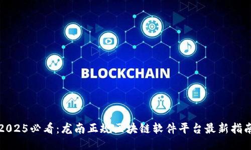 2025必看：龙南正规区块链软件平台最新指南