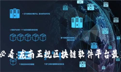 2025必看：龙南正规区块链软件平台最新指南