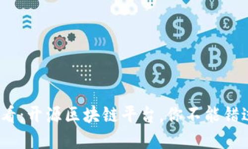 2025必看：开源区块链平台，你不能错过的选择