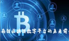 2025必看：海南链区块链数字平台的未来前景与投