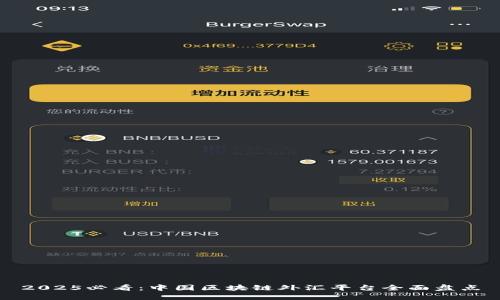 2025必看：中国区块链外汇平台全面盘点