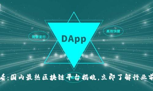 2025必看：国内最热区块链平台揭晓，立即了解行业前沿动态！