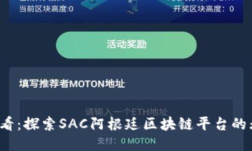 2025必看：探索SAC阿根廷区块链平台的无限可能