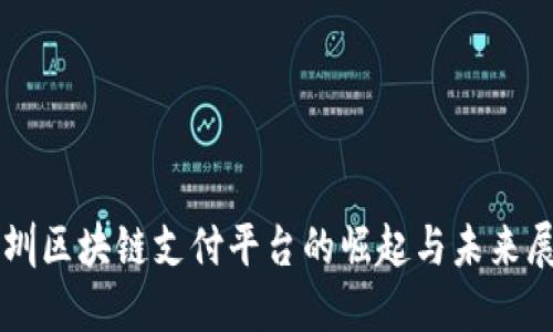 深圳区块链支付平台的崛起与未来展望