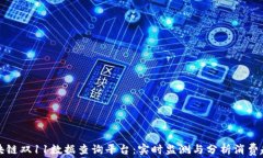 区块链双11数据查询平台：实时监测与分析消费趋