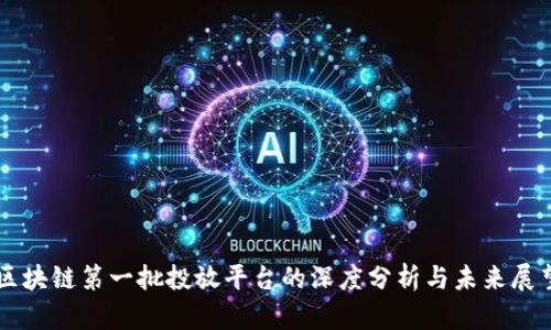区块链第一批投放平台的深度分析与未来展望