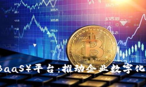 区块链即服务（BaaS）平台：推动企业数字化转型的关键技术