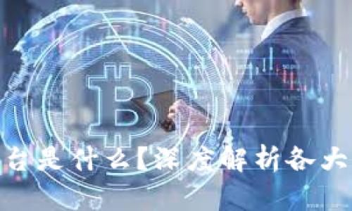 : 区块链应用最多的平台是什么？深度解析各大平台的优势与应用案例