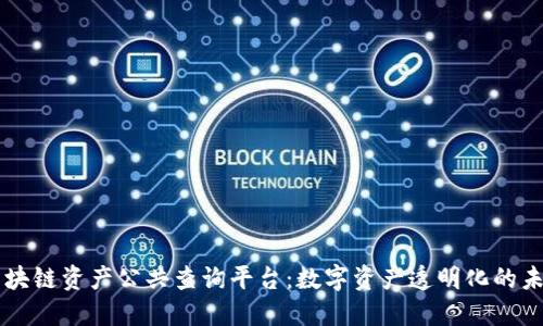 区块链资产公共查询平台：数字资产透明化的未来