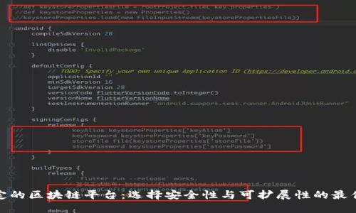 探索最稳定的区块链平台：选择安全性与可扩展性的最佳解决方案
