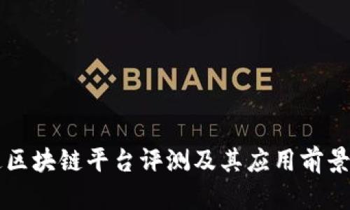 大通区块链平台评测及其应用前景分析