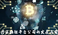 湖北医疗区块链平台公司的发展与前景分析