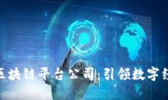 : 湖南省区块链平台公司：引领数字经济新时代