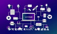 如何有效使用BitP: 初学者