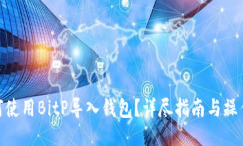 : 如何使用BitP导入钱包？详尽指南与操作步骤