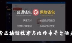 深入探索区块链技术与比