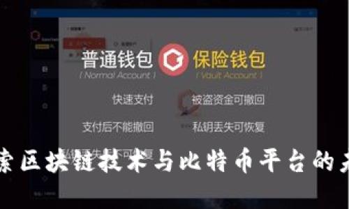 深入探索区块链技术与比特币平台的未来发展