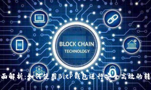 全面解析：如何使用BitP钱包进行安全高效的转账