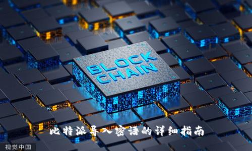 比特派导入密语的详细指南