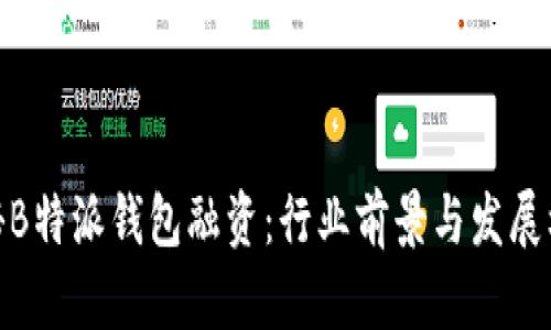 揭秘B特派钱包融资：行业前景与发展机遇