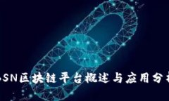 BSN区块链平台概述与应用分析