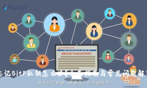 忘记BitP私钥怎么办？全面指南与常见问题解答