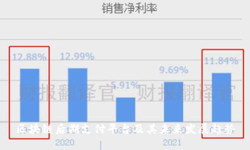 区块链后期支付平台及其未来发展趋势