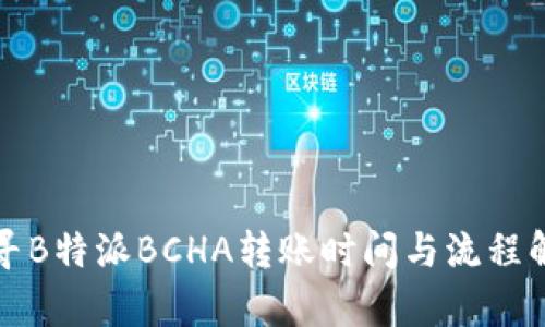 探寻B特派BCHA转账时间与流程解析