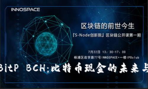 全面解析BitP BCH：比特币现金的未来与投资价值