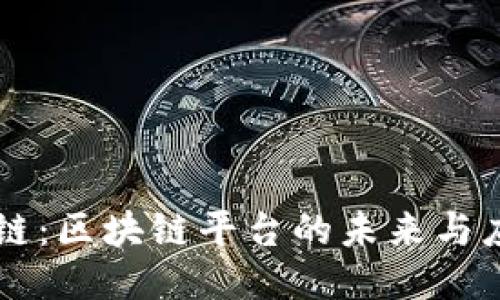 融链：区块链平台的未来与应用