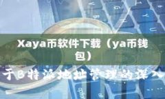 : 关于B特派地址管理的深