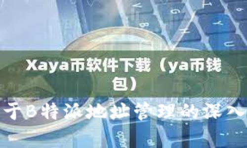 : 关于B特派地址管理的深入解析