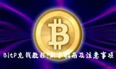 BitP充钱教程：新手指南及