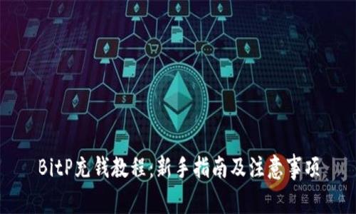 BitP充钱教程：新手指南及注意事项