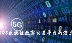 探索加拿大SDS区块链数字