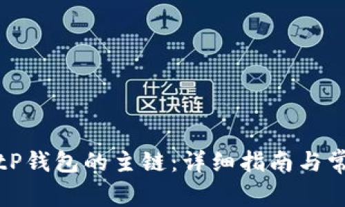 如何选择BitP钱包的主链：详细指南与常见问题解答