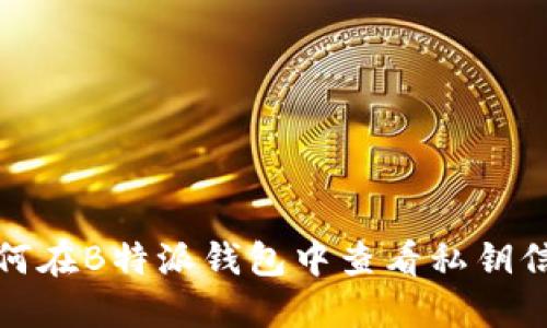 如何在B特派钱包中查看私钥信息