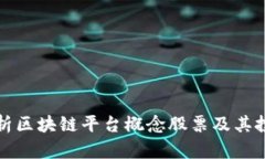 深入剖析区块链平台概念