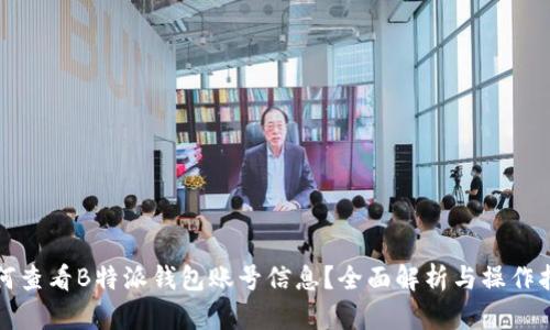 如何查看B特派钱包账号信息？全面解析与操作指南