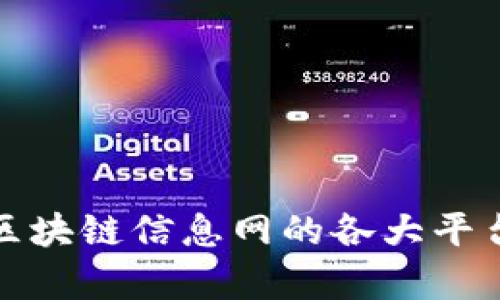 全面解析区块链信息网的各大平台及其优势